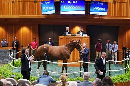 fasig tipton sales results|fasig tipton 2022 sales results.